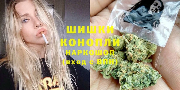 винт Абаза