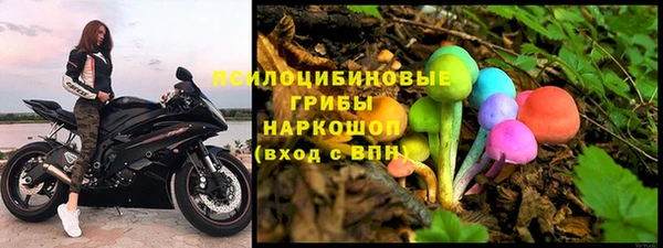 винт Абаза