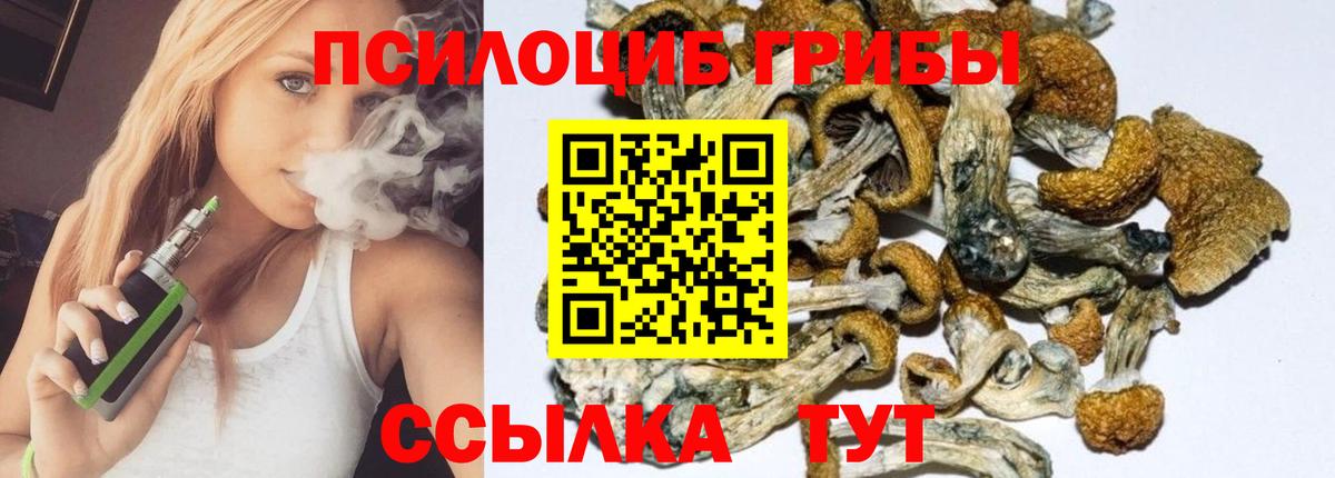 Сертолово  Галлюциногенные грибы Psilocybe  Галлюциногенные грибы мухоморы  где купить наркоту  Вход с VPN 